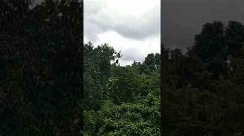 weather north caloocan|Yr .